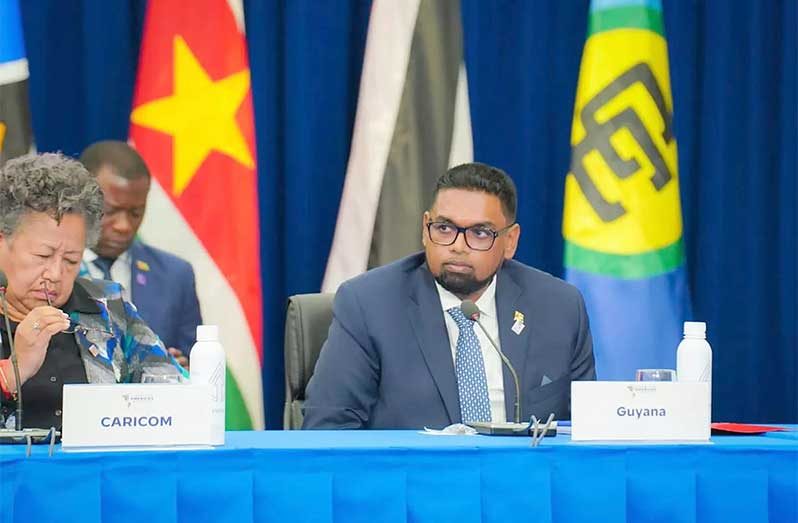 President Dr. Irfaan Ali 