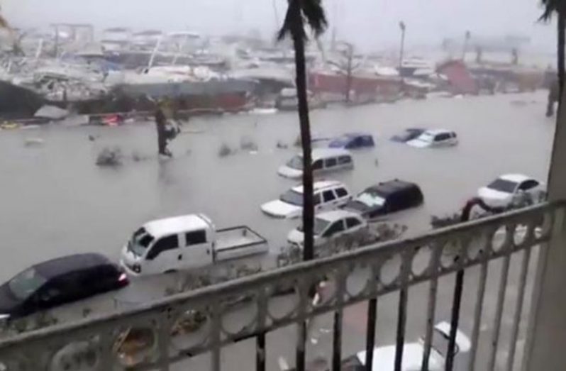 Cars are nearly completely submerged in the floodwater