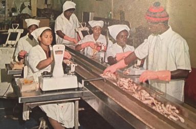 Workers at the (Old) Guyana Marketing Corporation  (GMC) busy on the ham and bacon production line in 1975.