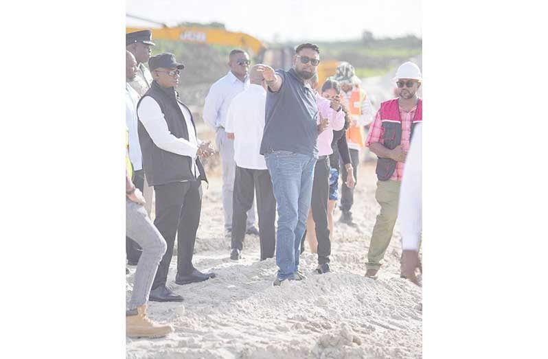 President Dr. Irfaan Ali