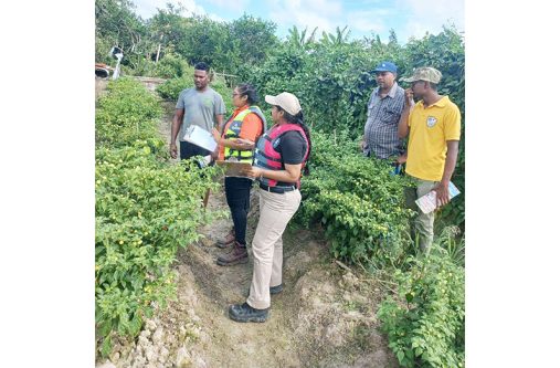 Ministry of Labour staff engaging Region Five farmers (MoL photos)