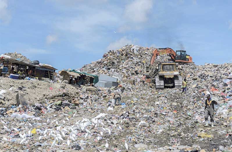 landfill-