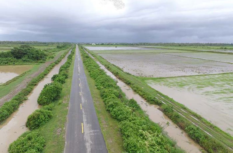 A drone photograph of rice cultivation in the MMA-ADA scheme