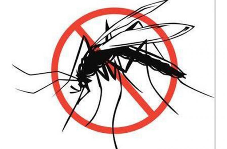 malaria