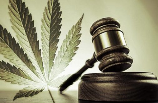 marijuana-laws
