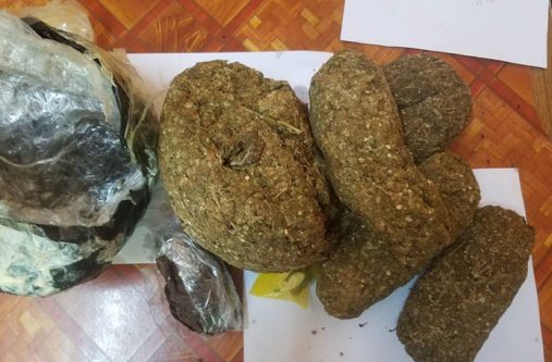 The marijuana which was found on the miner
