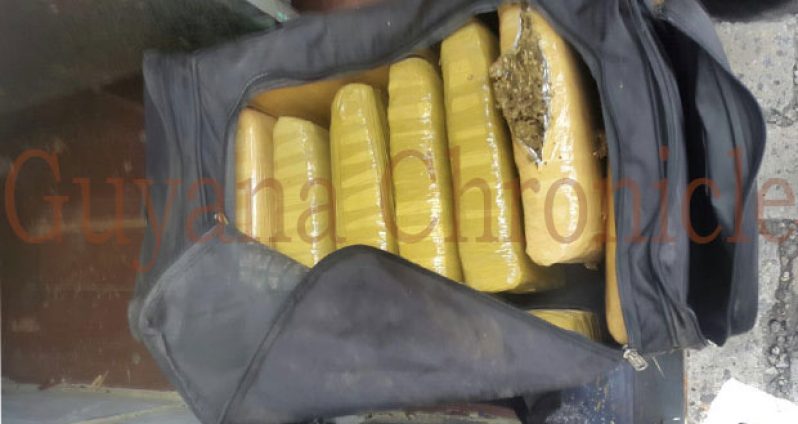 This Guyana Chronicle photo shows some of the marijuana found in the container.