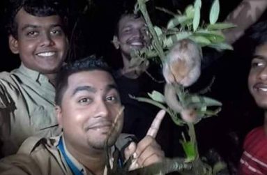 Members of Wildlife and Environmental Protecttion of Trinidad and Tobago (WEPTT): (top left) Kristopher Rattansingh, (top right) Taariq Ali, (bottom left) Kishan Ramcharan and (bottom right) Kristian Rattansingh during their rescue and relocation of Marvin, a silky anteater on October 14.