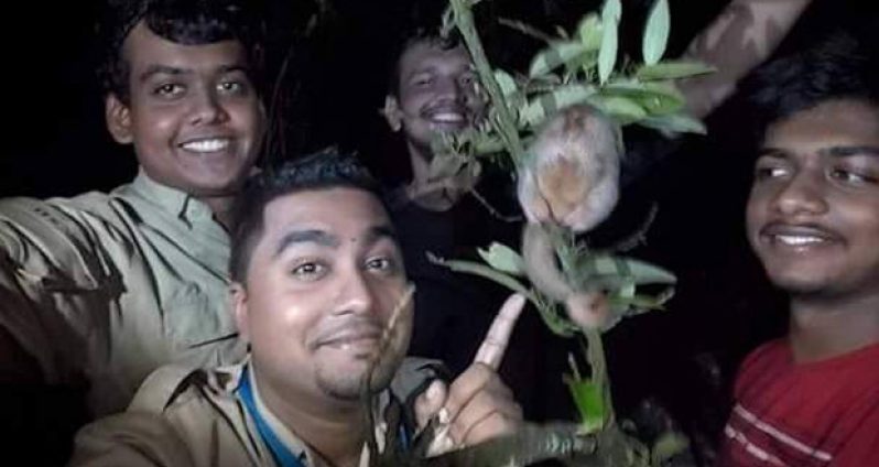 Members of Wildlife and Environmental Protecttion of Trinidad and Tobago (WEPTT): (top left) Kristopher Rattansingh, (top right) Taariq Ali, (bottom left) Kishan Ramcharan and (bottom right) Kristian Rattansingh during their rescue and relocation of Marvin, a silky anteater on October 14.