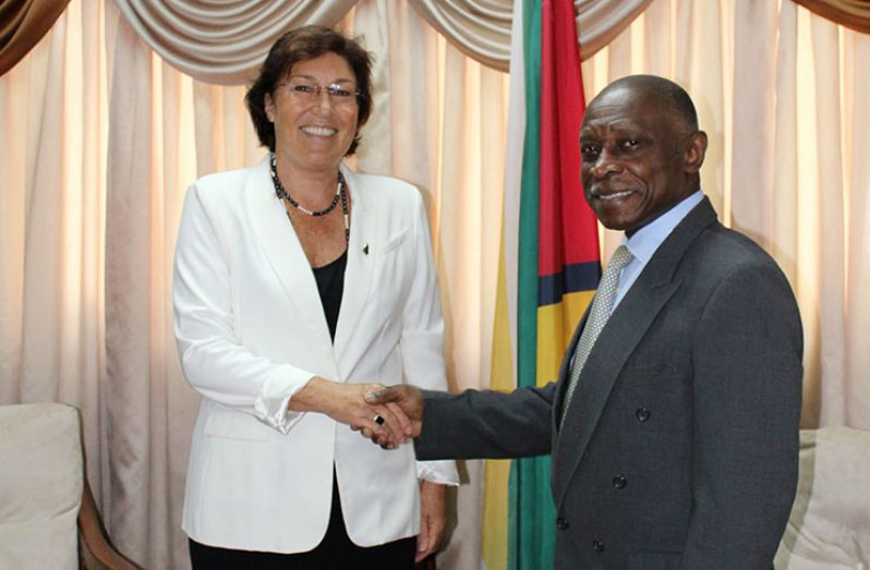 Minister of Foreign Affairs Carl Greenidge and outgoing New Zealand High Commissioner to Guyana, Jan Henderson