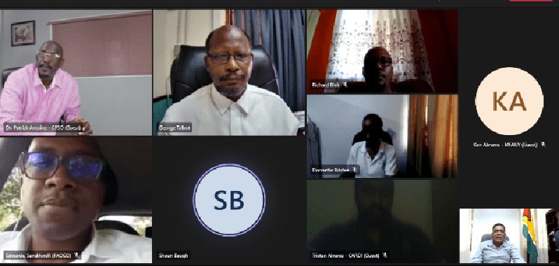 Some of the participants at the virtual meeting