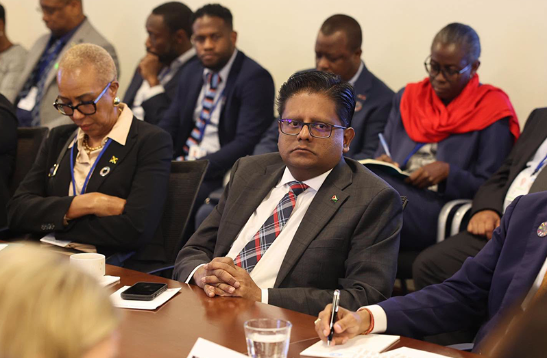 Senior Minister in the Office of the President with responsibility for Finance, Dr Ashni Singh participating in the World Bank’s spring meetings