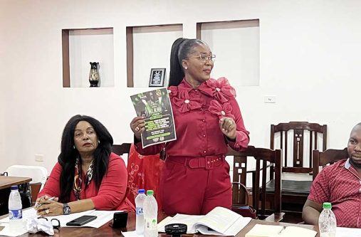 PPP/C councilor, Nicole Luther, presenting a poster to the council showcasing who was promoting the Town Day activity. Pictured to the left is Carol Trim-Bagot