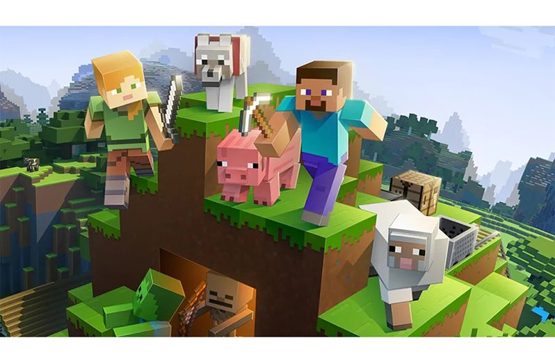 New kid on the block: Minecraft will be Netflix's latest animated show based on a video game
