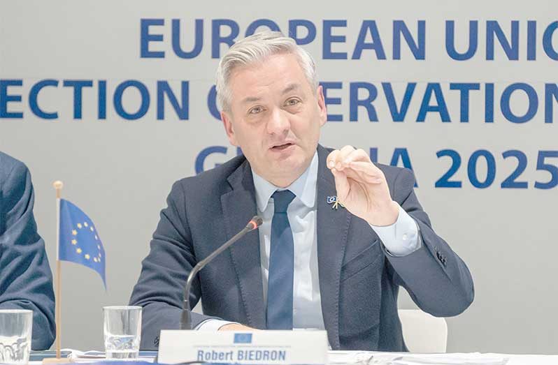 EU EOM’s Chief Observer, Robert Biedron (Delano Williams photo)