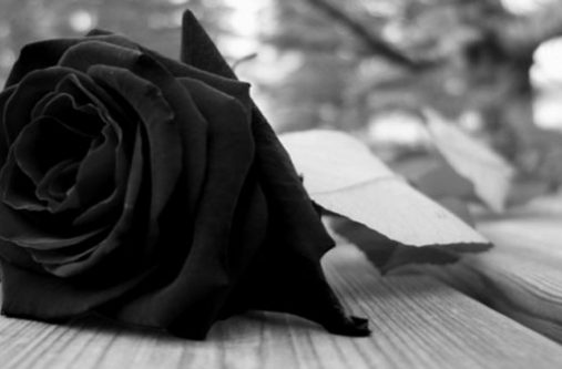 mourning-flower