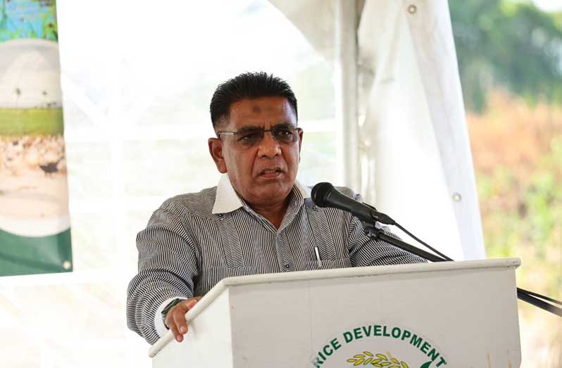 Minister of Agriculture, Zulfikar Mustapha delivers remarks at the Rice-Duck Integrated Farming initiative programme