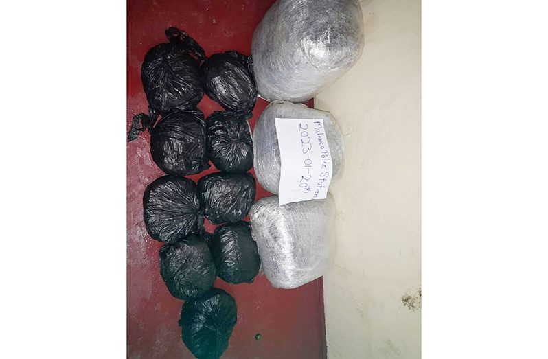 The cannabis seized by ranks of the Mahaica Police Station Anti-Crime Patrol (Guyana Police Force photo)