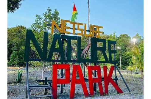 The resort was designed for those who crave peace and privacy offering patrons a chance to reconnect with nature through an immersive experience