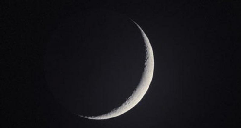 newMOON