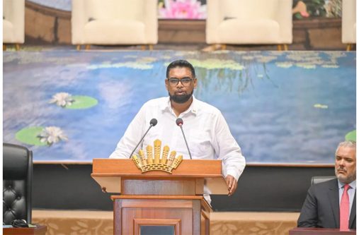 President Ali delivers closing remarks at the end of day two of the Global Biodiversity Alliance Summit on Thursday (DPI photo)