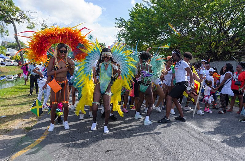 These Delano Williams photos capture the essence of the inaugural Cricket Carnival Parade