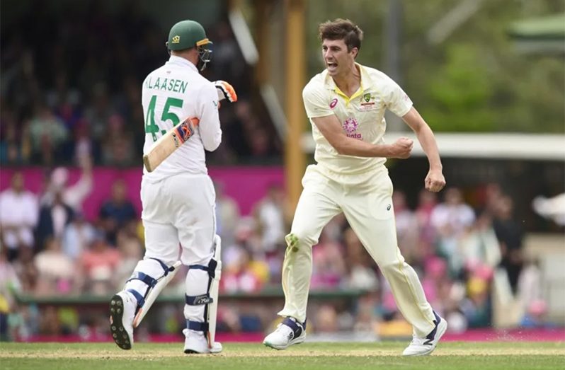 Pat Cummins celebrates the wicket of Heinrich Klaasen (Getty Images)
