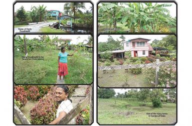 people-of-Garden