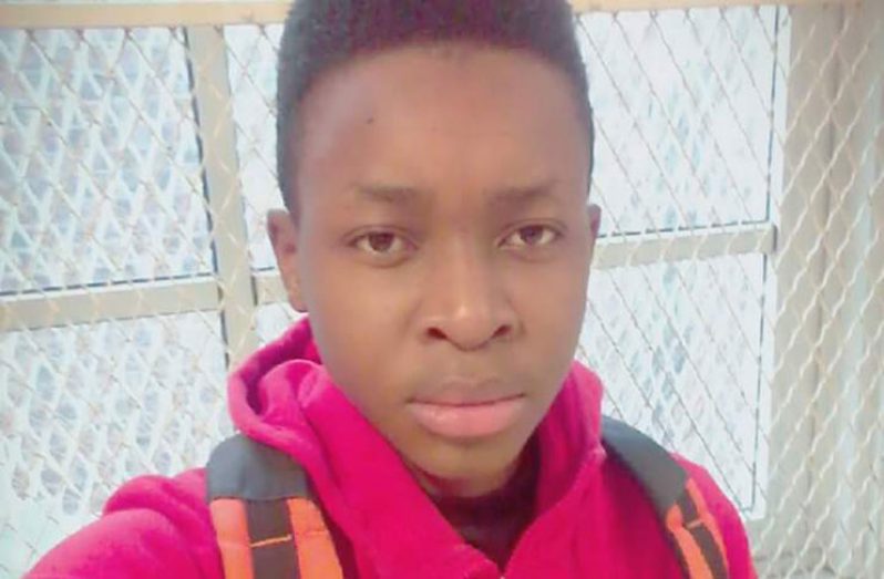 Guyanese teen perishes in NY accident - Guyana Chronicle