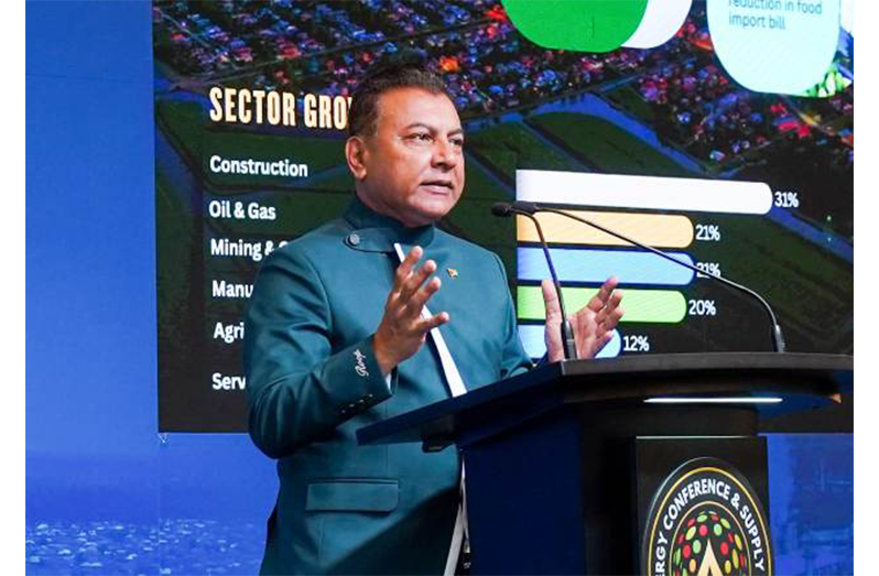 Peter Ramsaroop, Chief Investment Officer and Agency Head of the Guyana Office for Investment