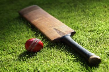 photodune-3434755-cricket-bat-and-ball-s