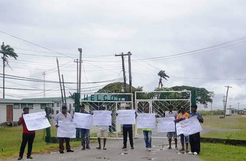 Sugar workers on the picket line on Thursday