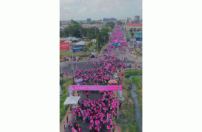 An aerial view of Pinktober 2023 (GTT photo)