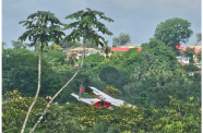 The Trans Guyana aircraft shortly after the pilot took evasive action to avoid hitting a dog that had run onto the airstrip at Mabaruma (Jason Chacon photo)