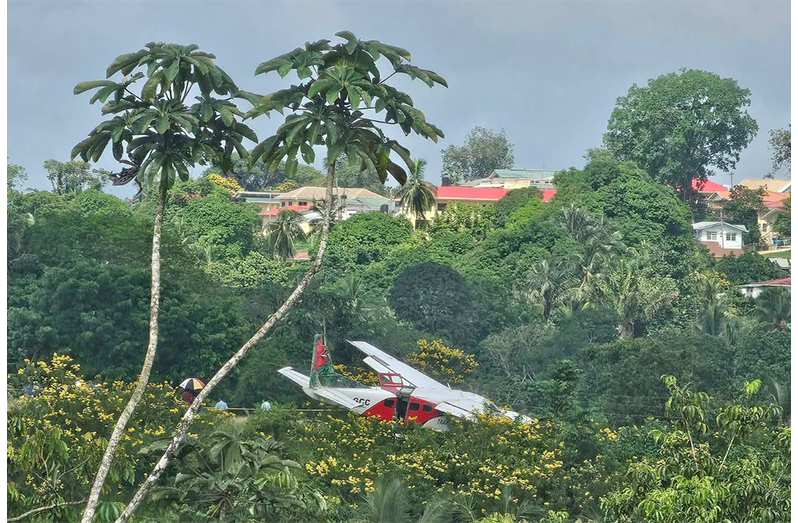 The Trans Guyana aircraft shortly after the pilot took evasive action to avoid hitting a dog that had run onto the airstrip at Mabaruma (Jason Chacon photo)