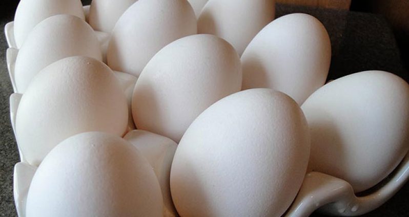 poultry-eggs