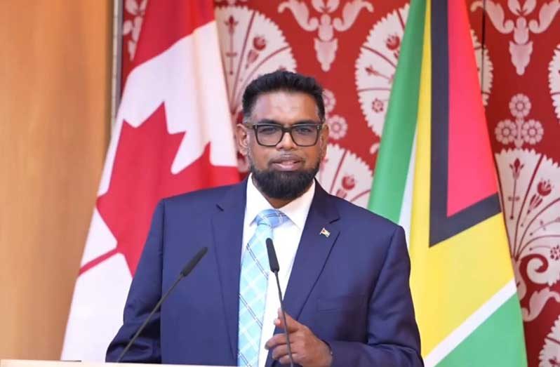 President Dr Irfaan Ali