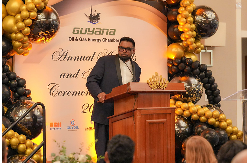 President, Dr Irfaan Ali during last Friday’s event