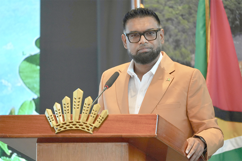 President, Dr Irfaan Ali