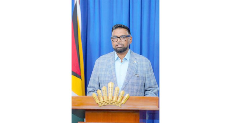 President, Dr Mohamed Irfaan Ali