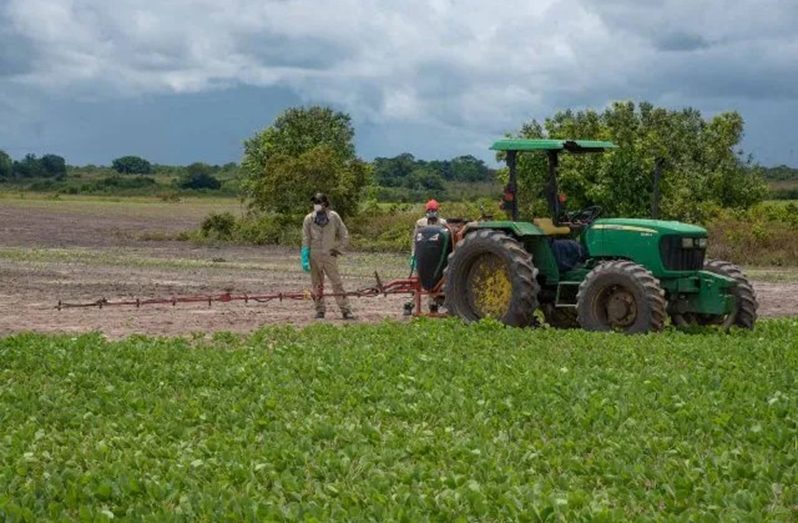 ‘Production’
Production of corn and soya bean