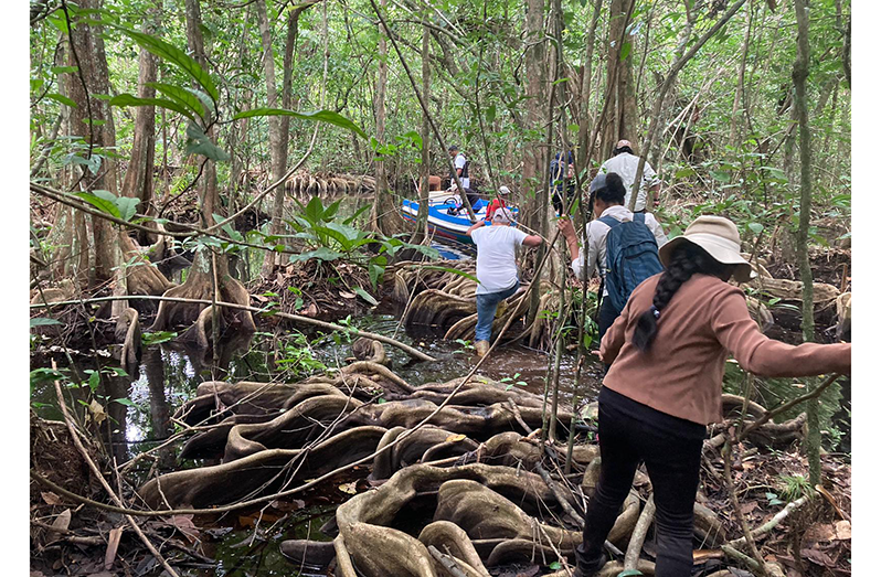 Members of the investigative team making their way along the Barima-Mora passage (photo courtesy Anette Arjoon-Martins)