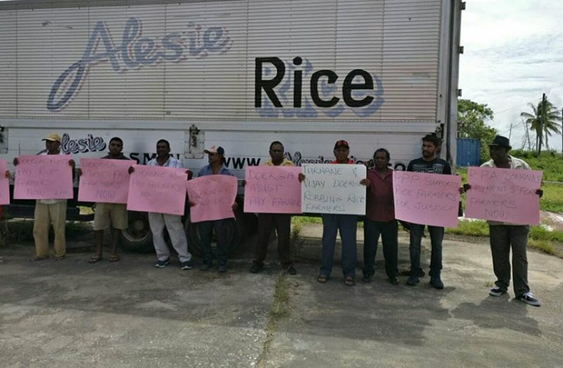 Some of the rice farmers on the picket line on Wednesday