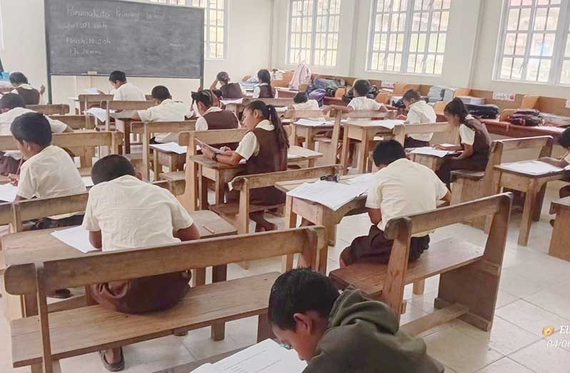 Various students who would have completed the two-day National Grades Two and Four Reading Assessments 2026