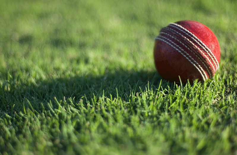 red_cricket_ball