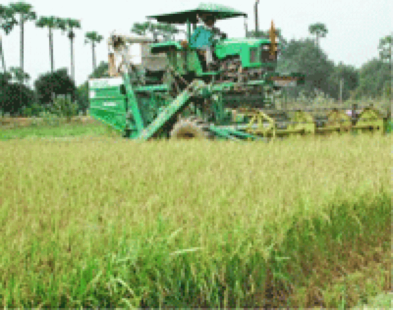 rice-harvester