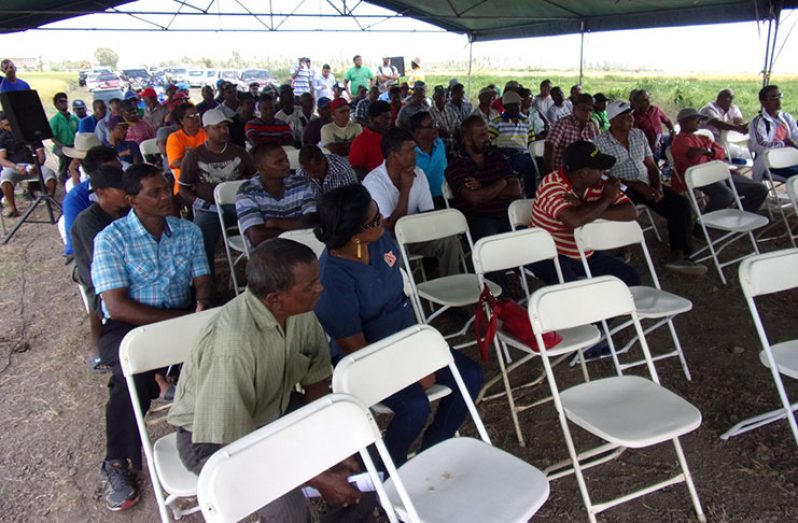 A section of the rice farmers at the open day held at Mibicuri, Black Bush Polder