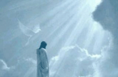risen