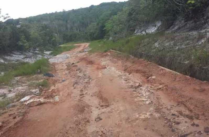 Heavy-duty trucks, erosion and rains have reduced the Moblissa road to a poor state
