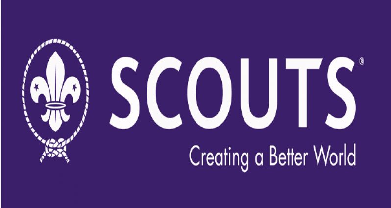 scouts